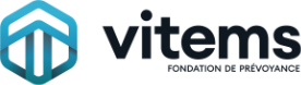 Vitems logo